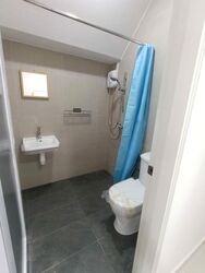 Ponggol Park (D19), Detached #581296811